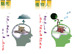 器官捐贈～把愛傳遞出去，讓生命繼續的延續(相關圖片)