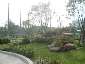 亞東瑰寶----日式花園(相關圖片)