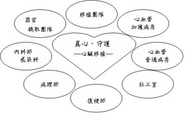 專業、實力、拚卓越，打造「心」世界--卡司堅強的心臟移植團隊(相關圖片)