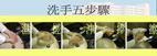 確保你我的安全,醫院及居家如何正確的洗手(相關圖片)