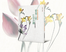 『懷恩節』   器官捐贈追思活動(相關圖片)