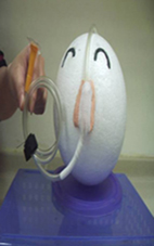 建構全面安全防護網   由「病人安全」進階為「醫院安全」(相關圖片)