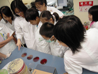 小華佗大闖關(相關圖片)