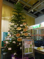 營造安全就醫  提升照護品質(相關圖片)