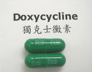 圖五、獨克士黴素