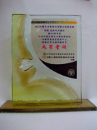 2012年第13屆醫療品質獎聯合頒獎典禮   亞東獲頒多項肯定(相關圖片)