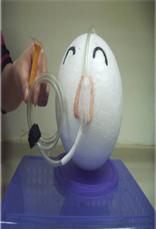 提升醫療照護品質及營造安全就醫環境(相關圖片)