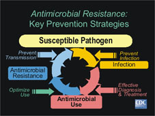 如何『減少抗藥性細菌』的產生與傳播(相關圖片)