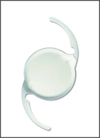 擁抱黃金人生  『視界更睛彩』(相關圖片)