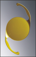 擁抱黃金人生  『視界更睛彩』(相關圖片)