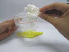 『廢棄藥物』大清倉   『藥品檢收』好環保(相關圖片)