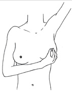 愛護自己  乳房自我檢查(相關圖片)