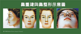 美麗的光彩 談鼻重建與鼻整形(相關圖片)