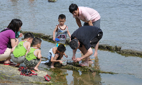 炎炎夏日如何安全又舒暢(相關圖片)