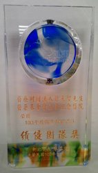 亞東志工隊  屢獲佳績(相關圖片)