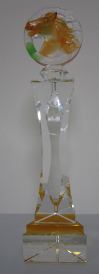 榮獲2015年THIS績優標竿醫院銅獎(相關圖片)