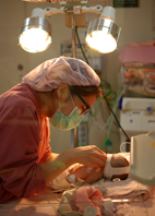 鏡頭下的真、善、美(相關圖片)