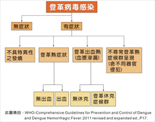 夏日如何預防登革熱？(相關圖片)