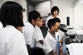 國小學童的生命教育  『小小華佗營』(相關圖片)