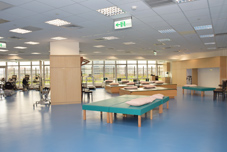 星級的全新復健中心!有可能嗎?(相關圖片)