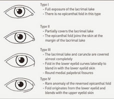 展現風華 會說話的電眼(相關圖片)