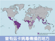 茲卡病毒   你需要了解的新興傳染病!(相關圖片)