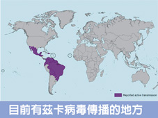 茲卡病毒   你需要了解的新興傳染病!(相關圖片)
