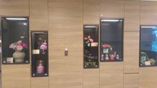 讓我們一起  『樂觀並肩  抗癌新生』(相關圖片)