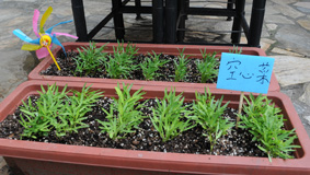 精神科日間照護中心  『築馨園』(相關圖片)