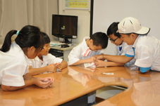 薪火相傳小小華陀體驗營活動(相關圖片)