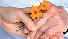 上帝的試煉(相關圖片)