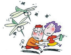 拒絕登革熱  夏日防蚊一起來(相關圖片)