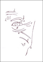 打造好臉色！ 談美容醫學(相關圖片)