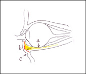 打造好臉色！ 談美容醫學(相關圖片)