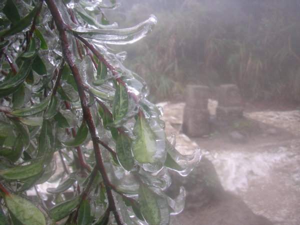 冷冽的寒冬  容易突發心肌梗塞或腦中風(相關圖片)