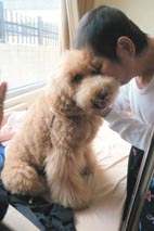 安寧病房的一股暖流   治療犬來訪！(相關圖片)