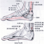 更年期中醫穴道保健(相關圖片)