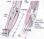 更年期中醫穴道保健(相關圖片)