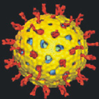 秋冬小兒常見感染疾病(相關圖片)