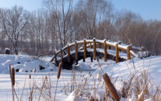 旅遊用藥準備好   安心出遊沒煩惱(相關圖片)