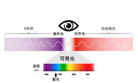 別讓老花眼提早來報到  談3C產品對眼睛的影響(相關圖片)
