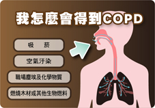肺阻塞到底是塞住了甚麼？(相關圖片)