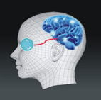 啥米，視神經也會中風?!(相關圖片)