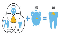 兒童牙齒保健莫輕忽 應從小做起(相關圖片)