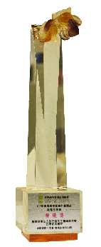 創意計畫特優獎-社區合作類-增肌運動不老舊 健康飲食好GO夠(相關圖片)