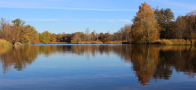 氣候、飲食、藥物與過敏免疫風濕疾病(相關圖片)