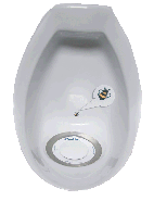 總是尿不準，瞄不準的蒼蠅 談攝護腺肥大(相關圖片)