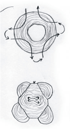 懷孕的隱形殺手  子宮頸閉鎖不全(相關圖片)