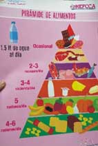 協助友邦尼加拉瓜當地衛生局與醫院   各項食品營養飲食型態分析(相關圖片)