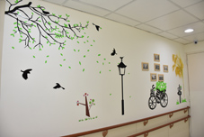 分級醫療，雙向轉診，全民共好(相關圖片)